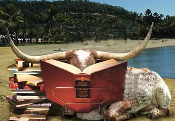 reading longhorn